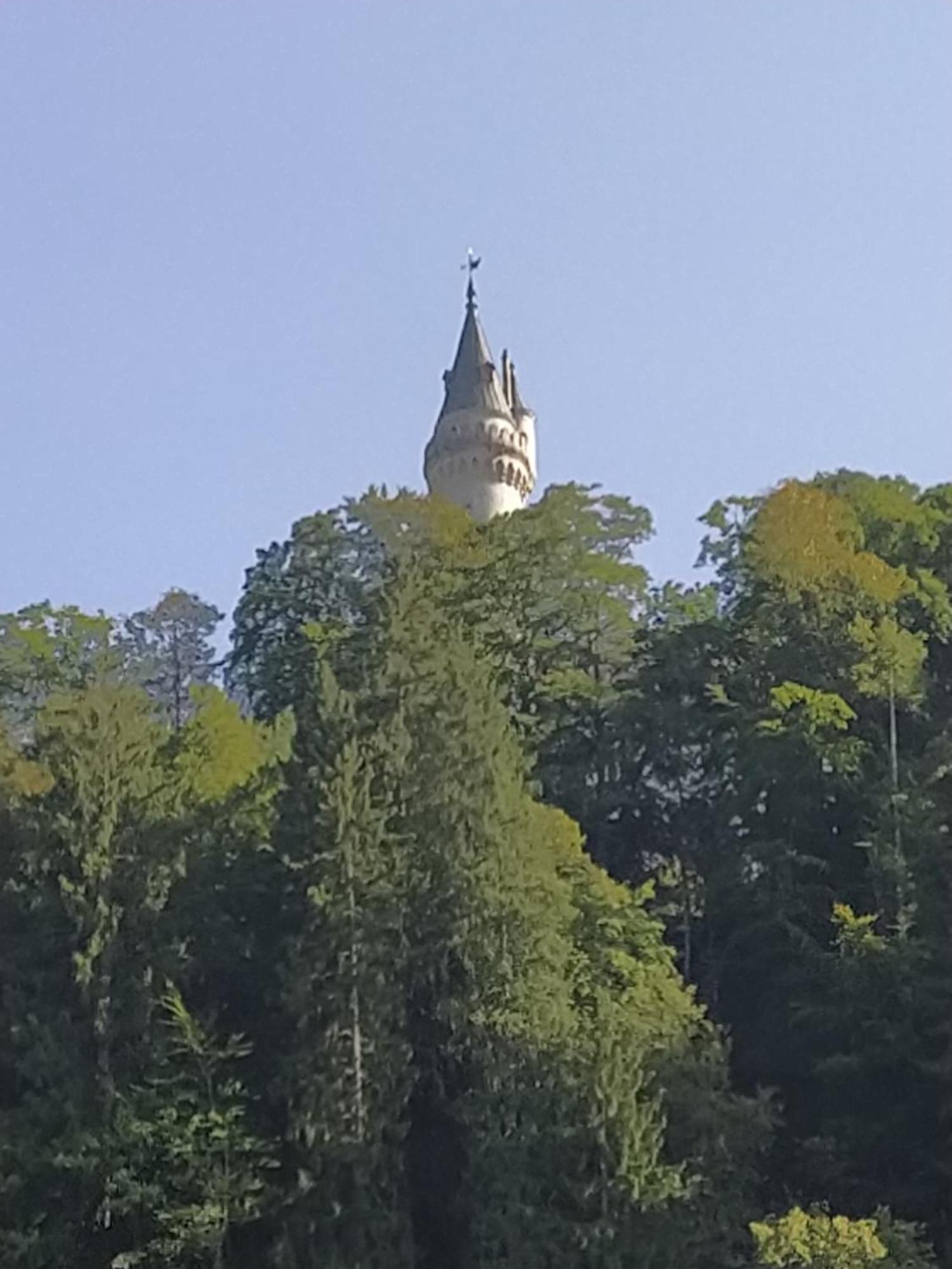 Ferienwohnung Zum Bartelt Hohenschwangau Exterior photo